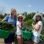 Lockview Park Community Garden Wraps up Second Growing Season!